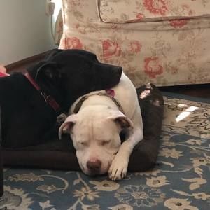 Meet your Posher, Terri